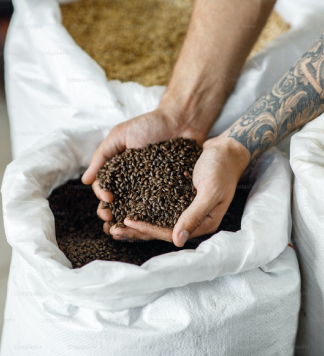 le malt pour fabriquer la bière